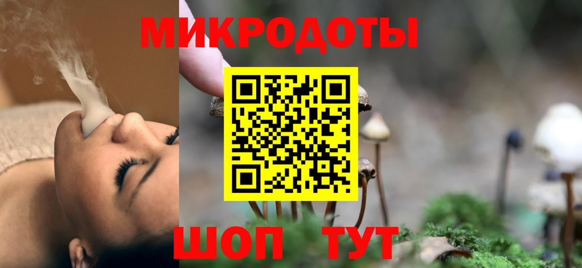 Галлюциногенные грибы Psilocybe Зеленогорск